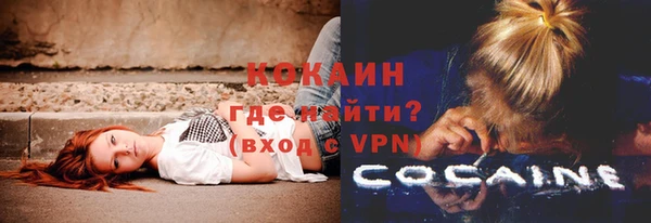соль ск Богданович