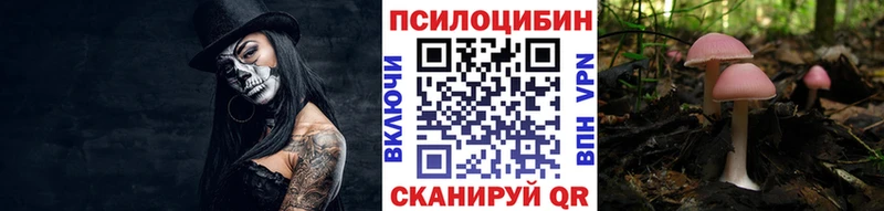 Псилоцибиновые грибы Magic Shrooms  купить наркоту  Санкт-Петербург 