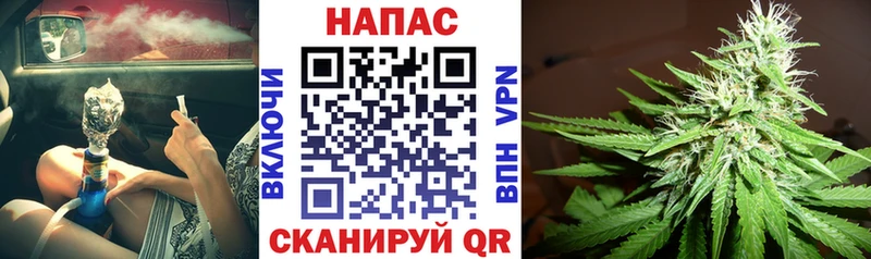 Бошки Шишки ГИДРОПОН  купить наркотики цена  Санкт-Петербург 